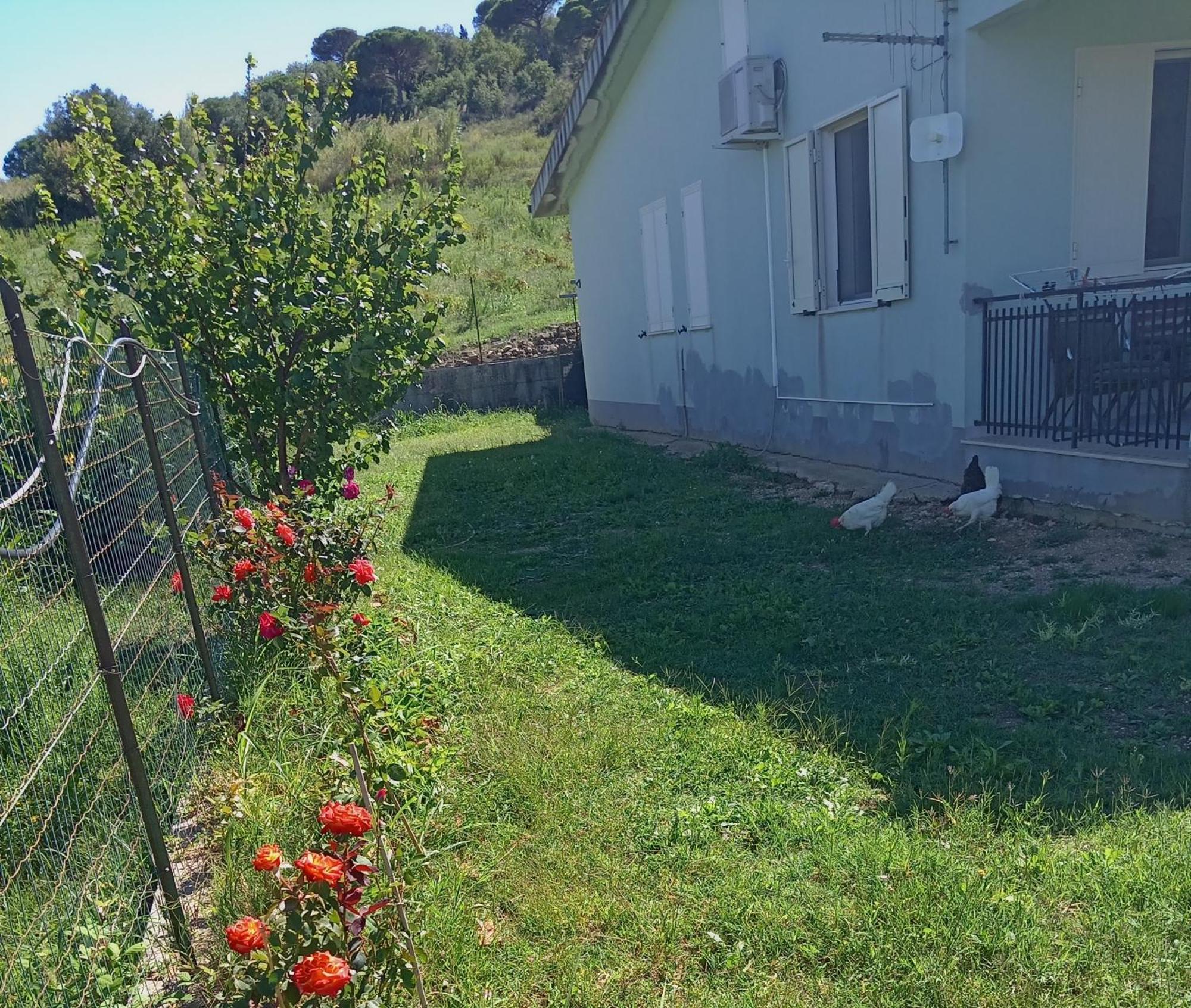 Villetta San Giovanni كالاتافيمي المظهر الخارجي الصورة