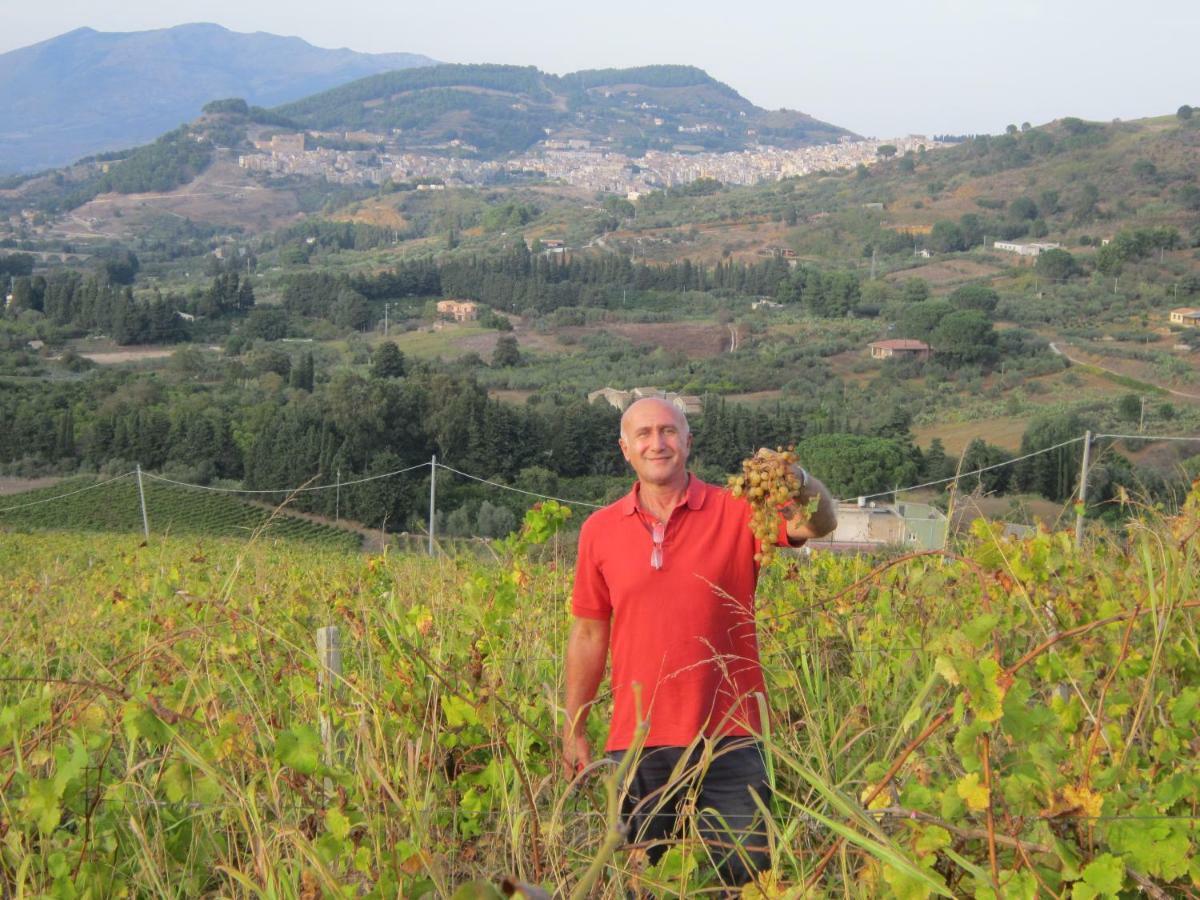 Villetta San Giovanni كالاتافيمي المظهر الخارجي الصورة